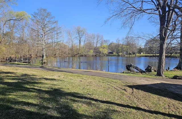 Grand 8-Bedroom Brick Southern Home with Lakeview Backyard.