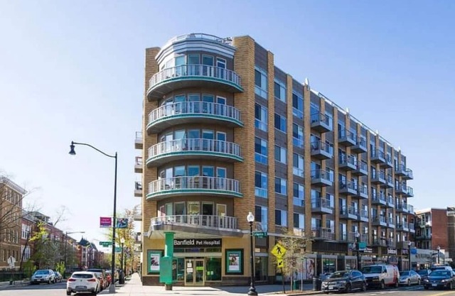 Bright studio in the heart of DC