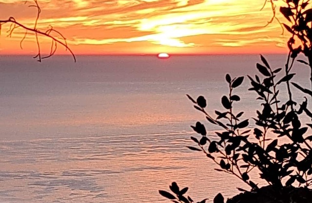 Bed & Breakfast La Roqueta Sant Grau sl