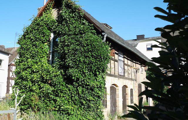Bischoffen Haus | Koans Kuhstall - the ultimate rural retreat