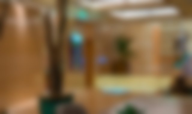 Duissern Haus | cozy green room - direct tram U79 to Messe D'dorf