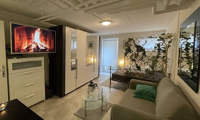 Basel City Centre Eigentumswohnung | Cozy Place Whit Fast Wifi 3 min From Rhine