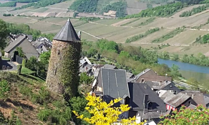 Briedel Wohnung | Cozy apartment near Zell a d Mosel in Briedel. Dog friendly