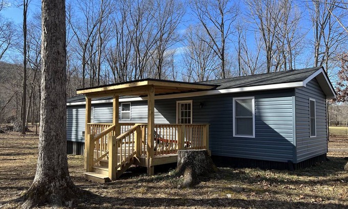 Lyndhurst Haus | Cozy Creekside Home with the National Forest at your back door !