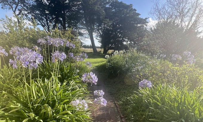 Limonite Haus | Diggers rest farm house and event hire property
