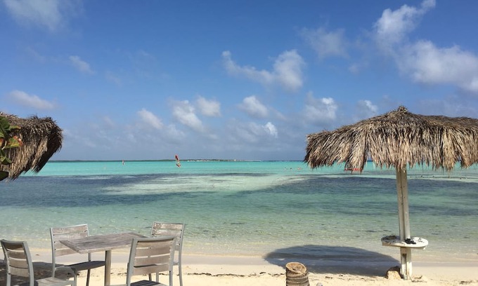 Sabal Palm Haus | Bonaire: Sabal Palm 50 guesthouse
