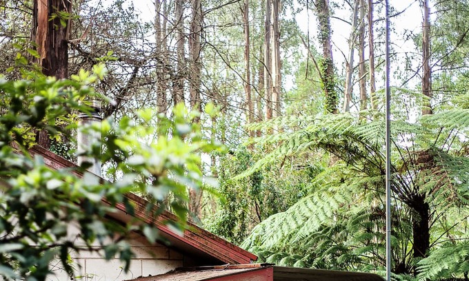 Mount Dandenong Hütte | Spa Cottage in 7 acre Rain Forest Paradise