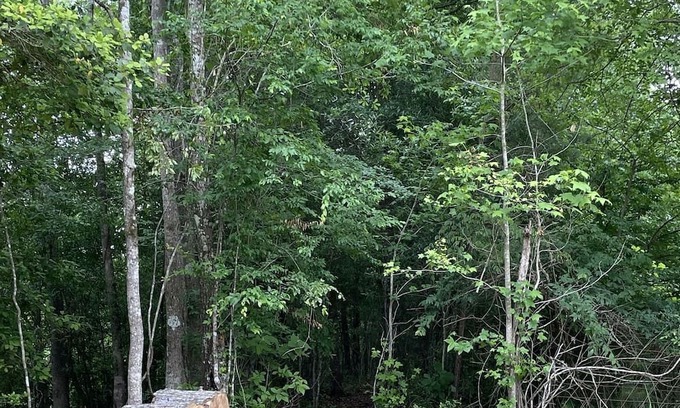 Jasper Kabine | Cozy cabin located on the Angelina River and minutes away from lake Sam Rayburn.