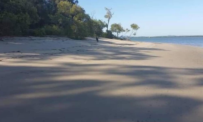 Brisbane Waterfront Haus | Pet and Family Friendly Peaceful Island W'front home, crabbing, kayaking, bikes