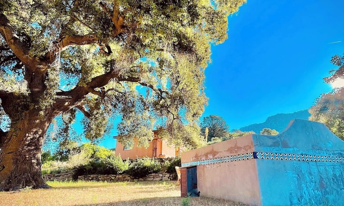 Nueva Ensenada Kabine | Casita de Adobe: Escape to the Sierra and Disconnect