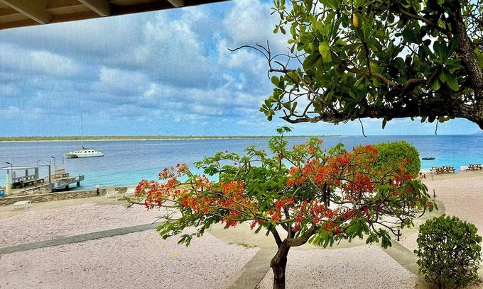 Kralendijk Eigentumswohnung | Stunning Oceanfront 2-Bed, High End Remodel, Luxury Furnishings, Sand Dollar A6