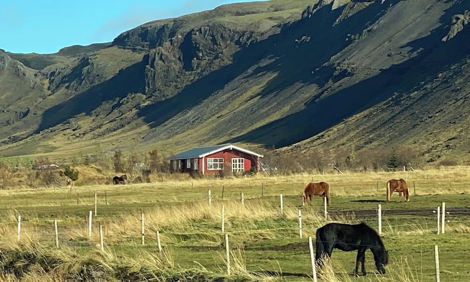 Sveitarfelagid Olfus Wohnung | Fancy Iceland? Central location in South Iceland.