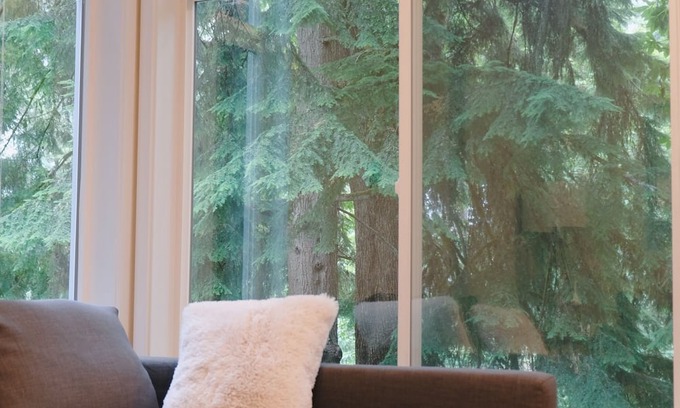 Mercer Island Wohnung | Entire 1b1b Mercer Island apartment