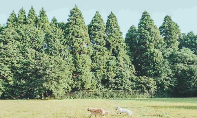 Sanbu-gun Haus | August only 20 off Limited to one group per d /Sanbu-gun Chiba