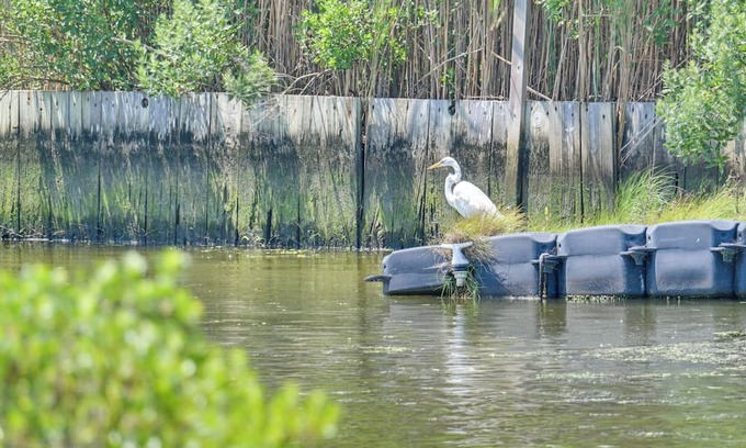 Remsenburg Haus | Hamptons Retreat w/Private Dock, Kayak & Canoe!