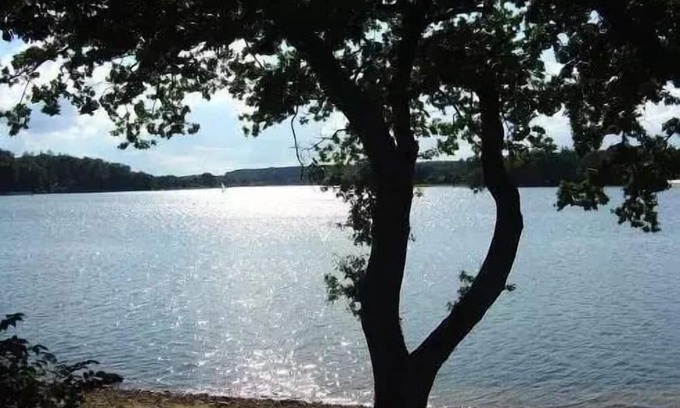 Vosges Wohnmobilvermietung | Domaine les Nids du Lac* - POD 2 Rooms 2 People with private Jacuzzi