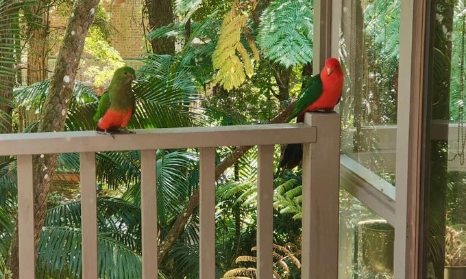 Killara Haus | Natures Retreat Getaway your ideal staycation retreat