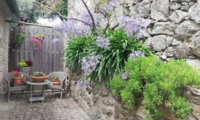 Mangualde Wohnung | Authentic apartment in rural area
