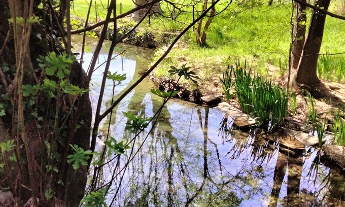 Forcalqueiret Sonstige | La Ruralité en Provence Verte 40 min de la mer Avec Source Ruisseau Oiseaux