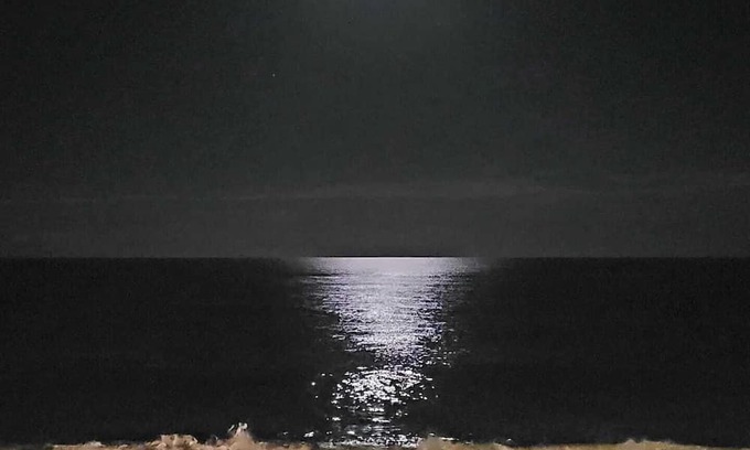 Central Beach Resort | Oceanfront 1 Bdrm Condo with Balcony @ Reef Ocean Resort in Vero Beach, Florida