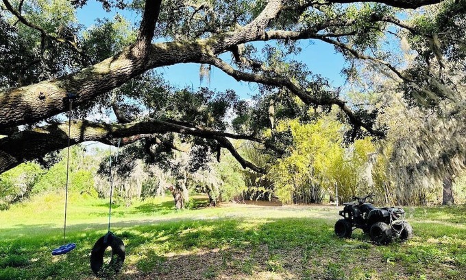 Riverview Sonstige | Bamboo Farm on Bullfrog Creek