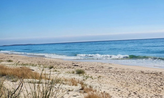 Scamander Haus | Ocean Breeze - Foodies Delight - Scamander