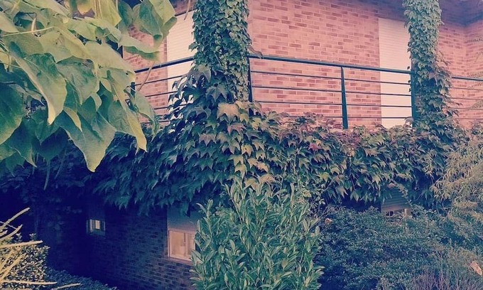 Fragoso Wohnung | 🌿 Casa com Raízes e História. É Casa com Alma. É Refúgio Para Quem nos Visita