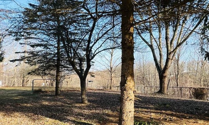 Central Elgin Hütte | Tranquil Coastal Escape - Minutes to the Beach!