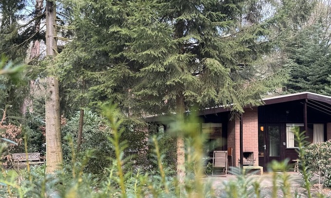 Giethmen Haus | Boshuisje met Open Haard