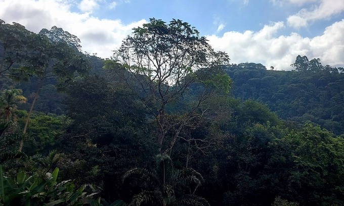 Nova Friburgo Skihütte | Chalé Super Charmoso com Varanda Para Apreciar Fins de Tarde em Friburgo