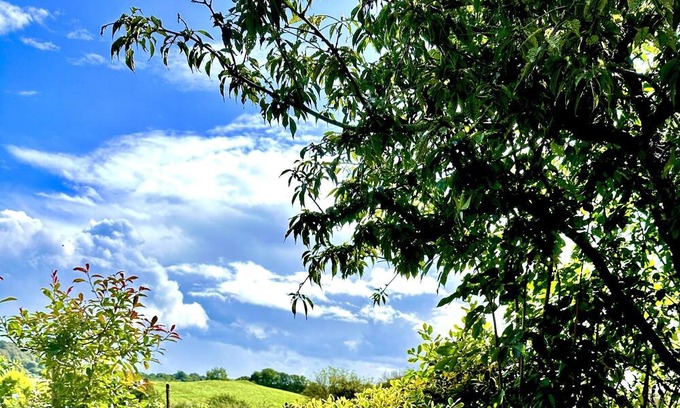 Charlton Horethorne Hütte | Renovated Cottage in Sherborne with Stunning Views