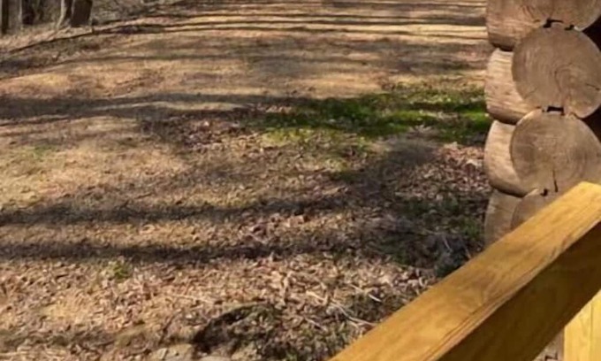 Tylertown Kabine | Less than 10 minutes to Paradise Ranch Resort Campground