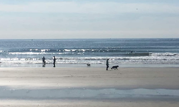 Kennebunk Hütte | Very private setting on 6 acres,1 mile to beaches and 1 mile to Dock Square.