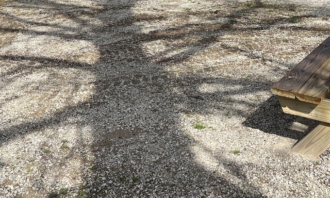 Carbondale Wohnmobilvermietung | WKH RV Site