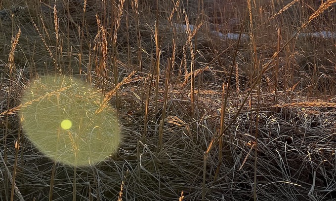 Hellissandur Hütte | Enchanting Ocean Clif 1-bedroom cottage in Hellissandur