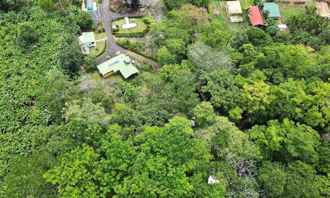 Penjamo Haus | Forest Hideaway: Container Retreat with Private Pool. Pet friendly!