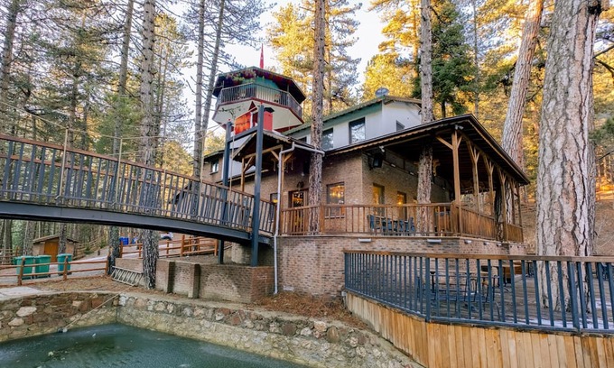 Tosya Haus | Bungalow in Nature Near Dipsiz Lake