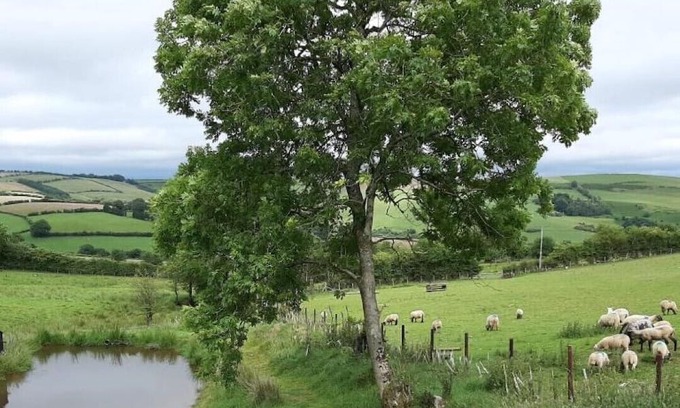 Newcastle-on-Clun Wohnung | Eco-Accommodation