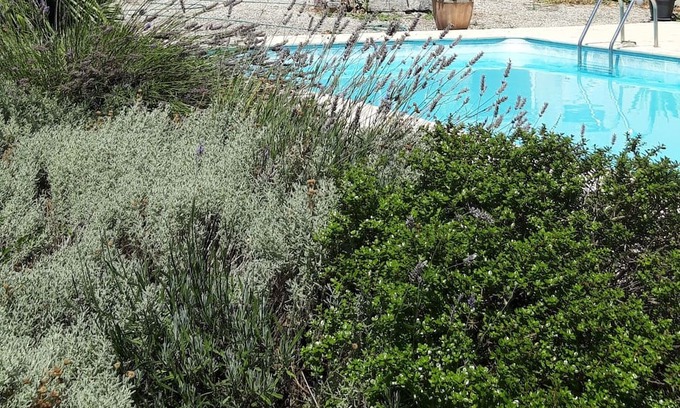 Pessines Haus | Charantaise Avec Piscine et Parc, 7 Minutes de Saintes, 25 Minutes de Royan
