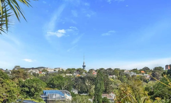 Remuera Haus | Garden in the city