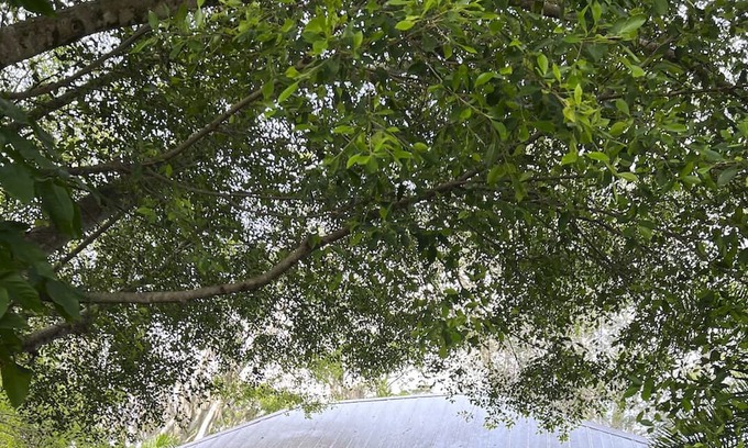 Bonita Springs Hütte | Adorable Cottage Close To Downtown & Area Beaches.