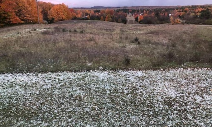 Beulah Wohnung | Hobby farm with epic views!
