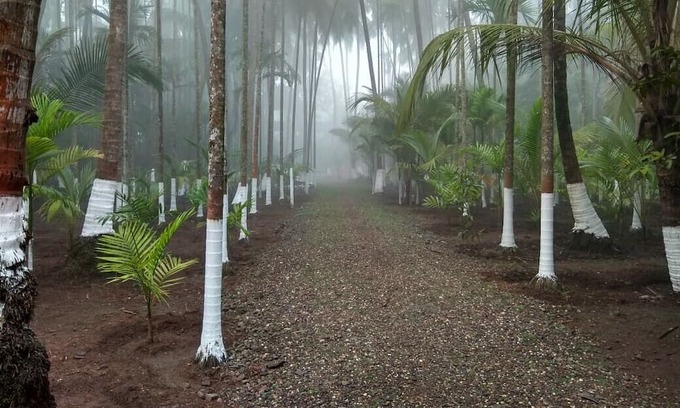Alibaug Haus | Anandamay is the place for relaxation with your loved ones & perfect for couples