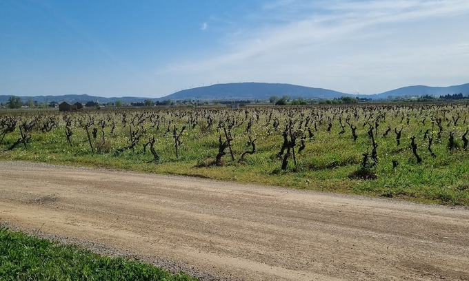 Olonzac Hütte | Cottage Chaleureux Face aux Vignes Pour un Séjour Détente Pour Toute la Famille