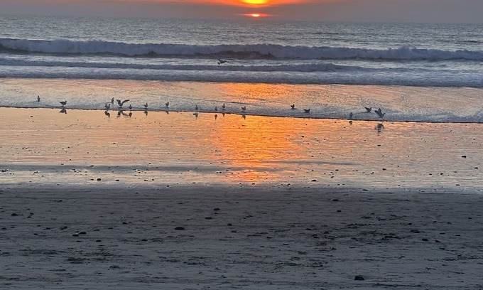 Carlsbad Village Hütte | Carlsbad Beach Cottage