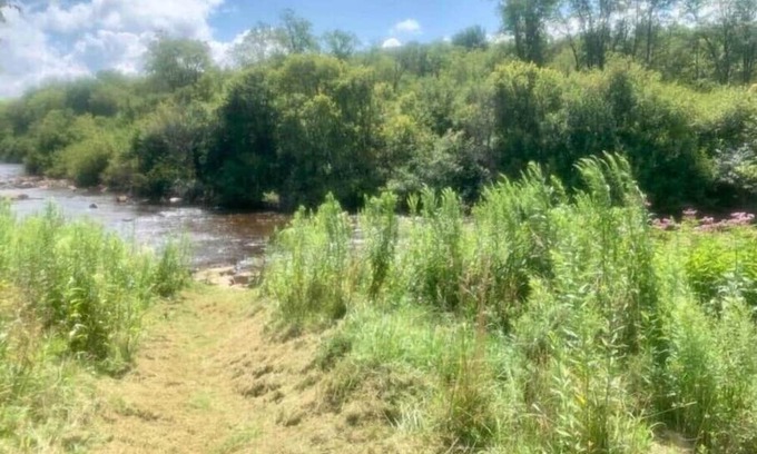 Canaan Valley Wohnung | Blackwater Bed & Bikes #1n