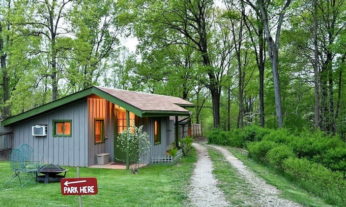 Millfield Wohnung | Quiet, Gracious, Country Studio on 7acres of old growth forest