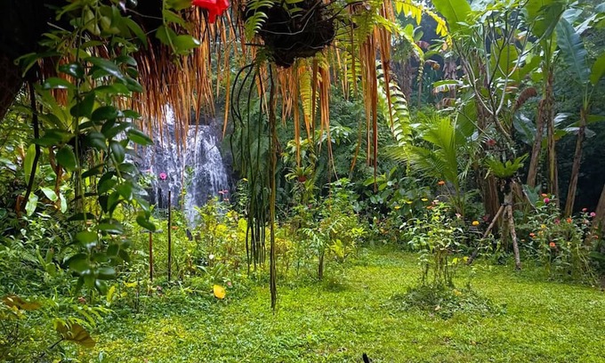 Payangan Haus | Das Dschungel zu Hause Neben Privatem Wasserfall