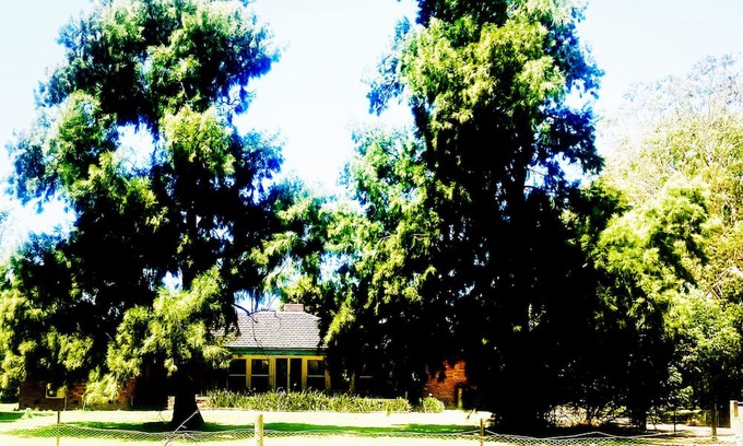 Tocumwal Sonstige | Idyllic, farming property, hidden amongst towering gumtrees and golden pastures.