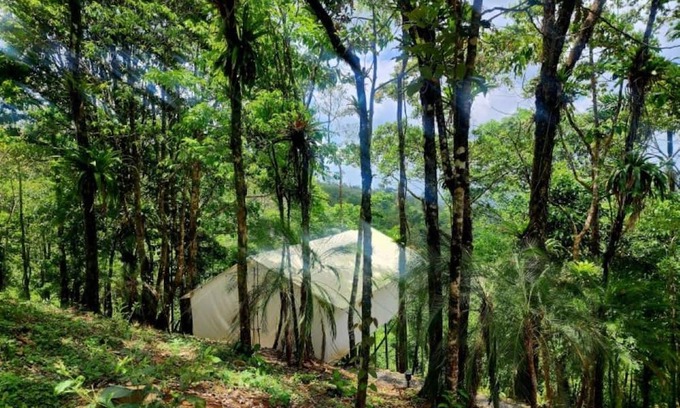 Katira Haus | Volcano Tenorio Glamping Ranch - 3 Fully Furnished Luxury Glamping Tents